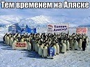 Петиция о присоединении Аляски к России была снята с сайта Белого дома